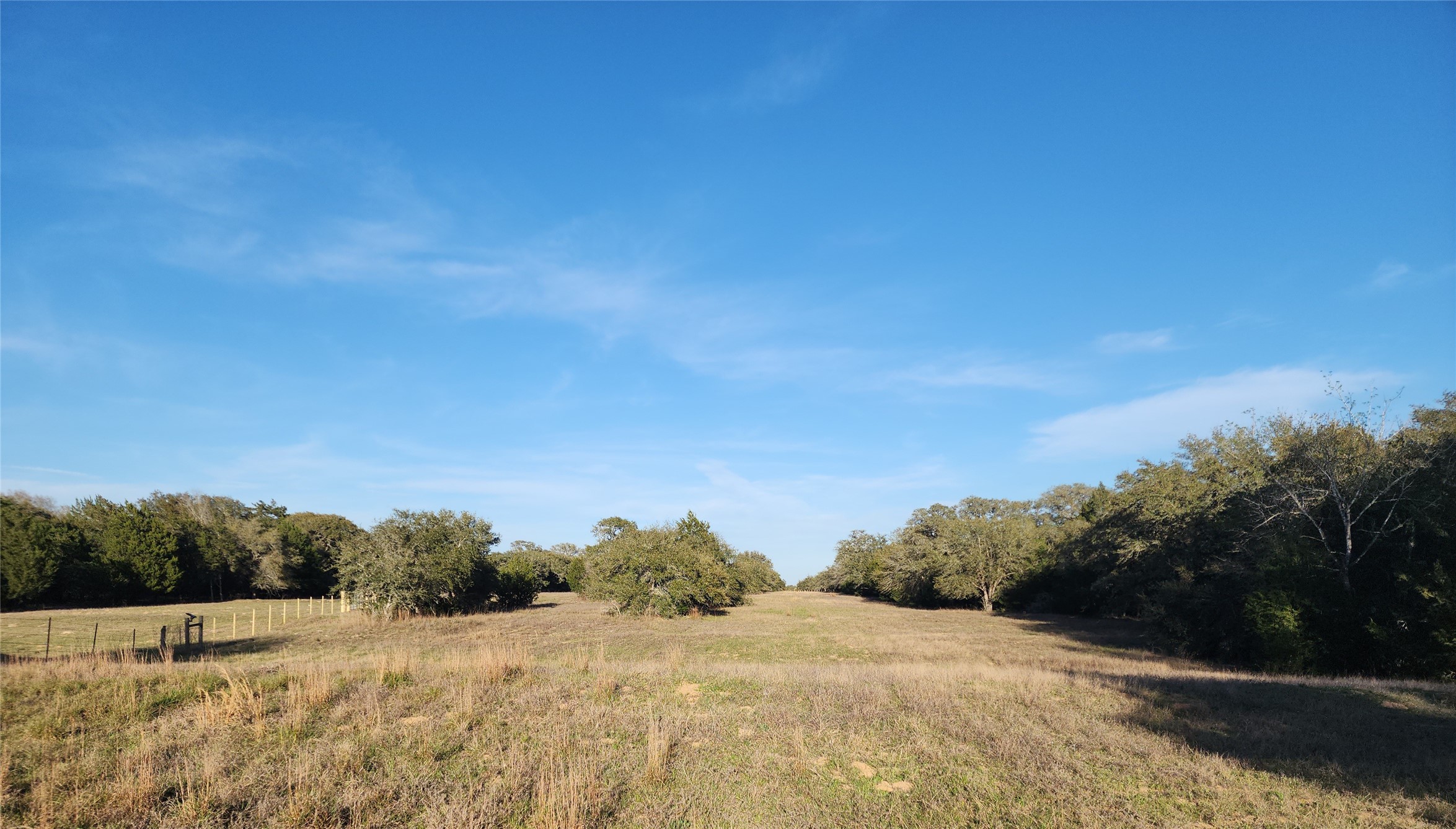 Tbd Tbd Fm-3283 Hallettsville, TX 77964 - Photo 8 of 8