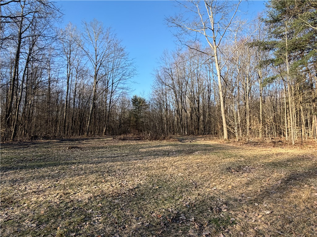 2680 Apple Tree Road Clarksville, NY 14715 - Photo 5 of 38