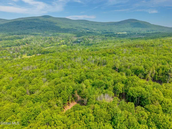 $155,000 | Tbd Boulder Brook Road, Unit LOT #14, Windham, NY 12496