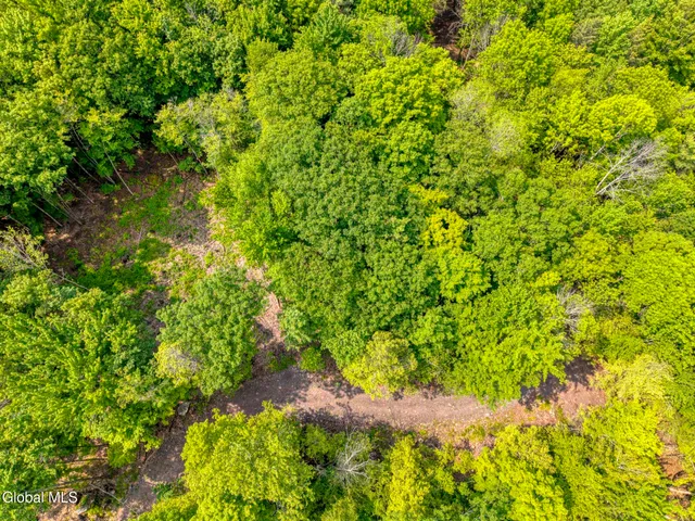 $155,000 | Tbd Boulder Brook Road, Unit LOT #14, Windham, NY 12496