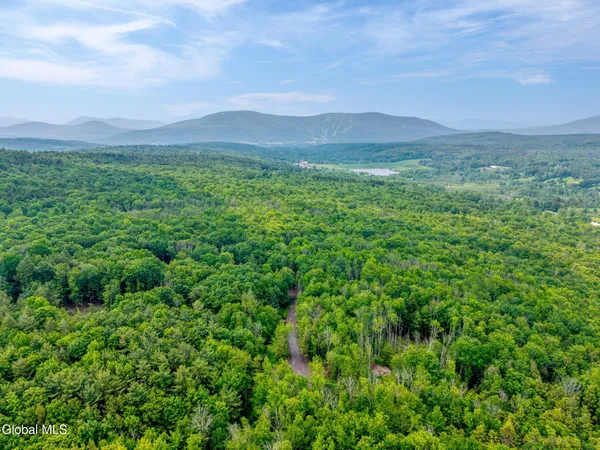 $155,000 | Tbd Boulder Brook Road, Unit LOT #14, Windham, NY 12496