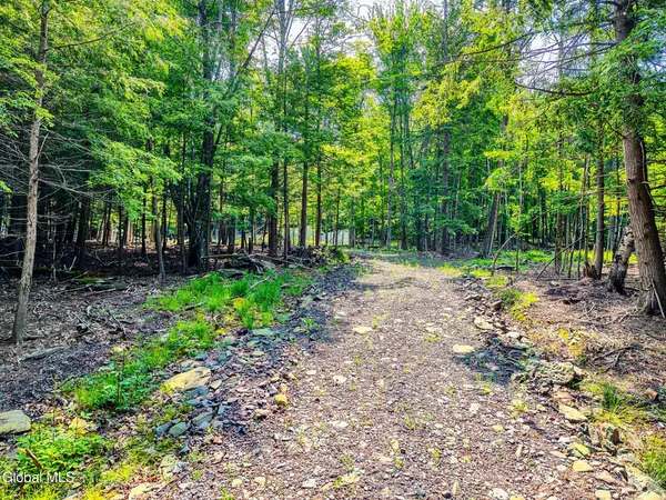 $155,000 | Tbd Boulder Brook Road, Unit LOT #14, Windham, NY 12496