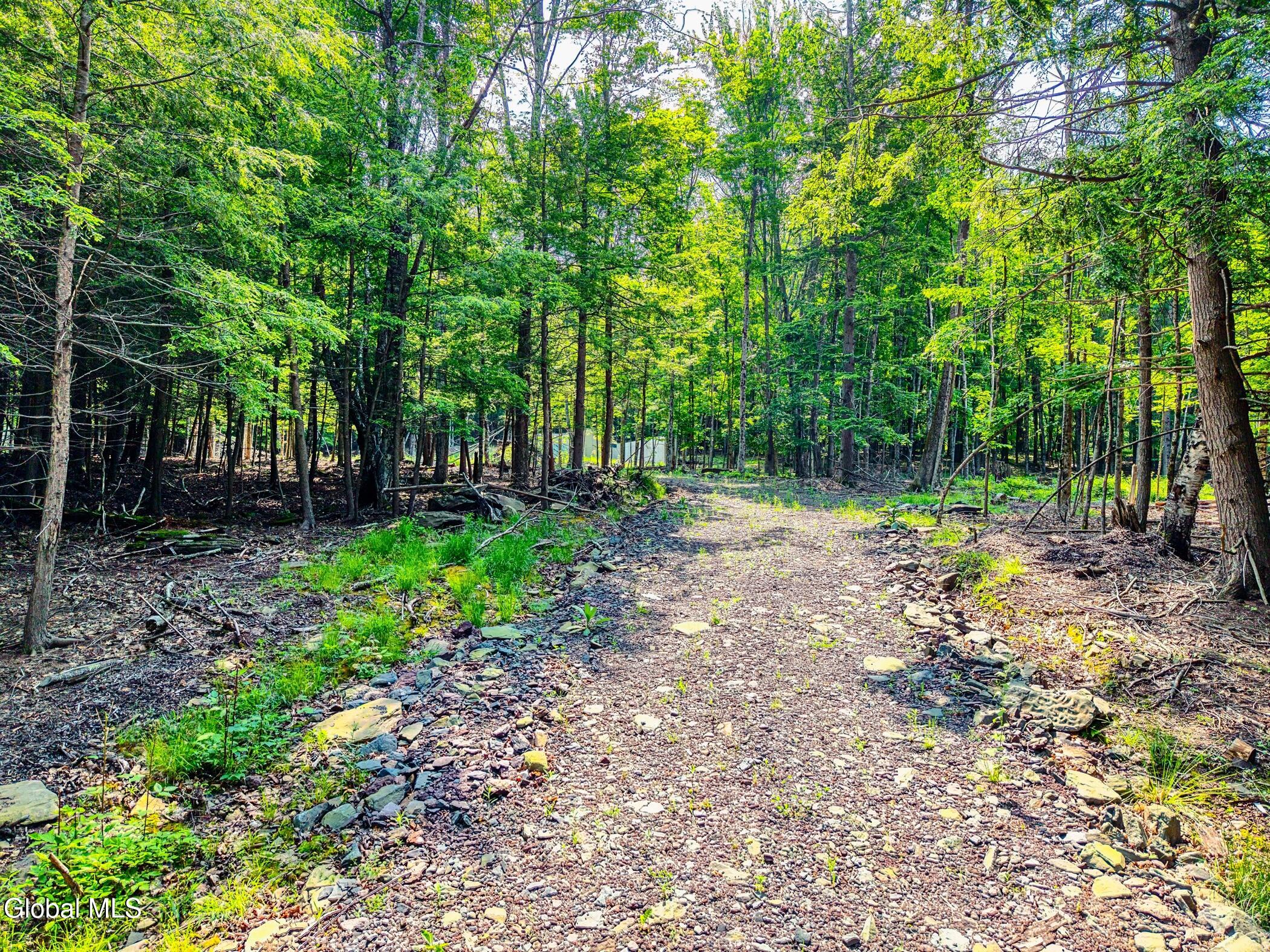 Tbd Boulder Brook Road, Unit LOT #14 Windham, NY 12496 - Photo 31 of 40 Image-3