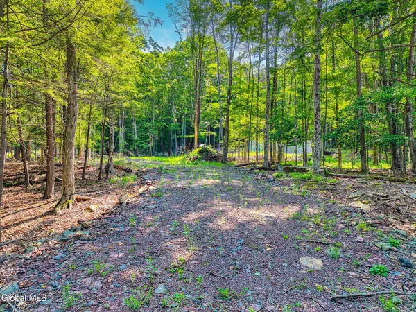 $155,000 | Tbd Boulder Brook Road, Unit LOT #14, Windham, NY 12496