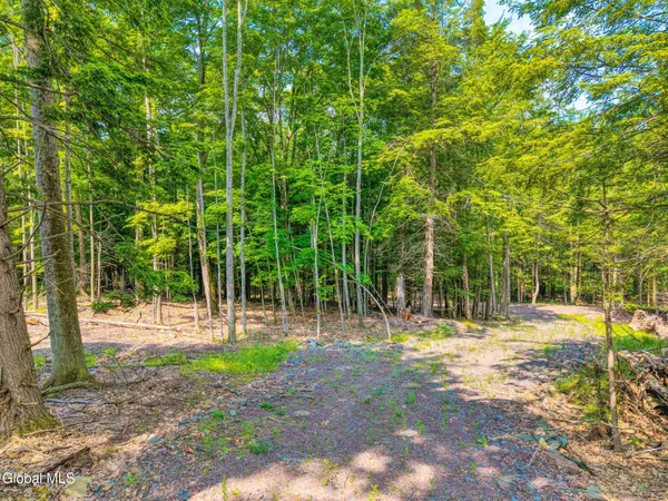 $155,000 | Tbd Boulder Brook Road, Unit LOT #14, Windham, NY 12496