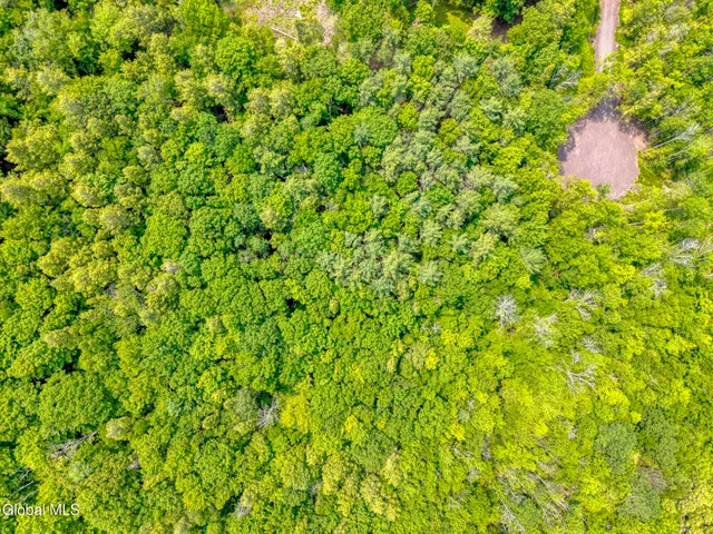 $155,000 | Tbd Boulder Brook Road, Unit LOT #14, Windham, NY 12496