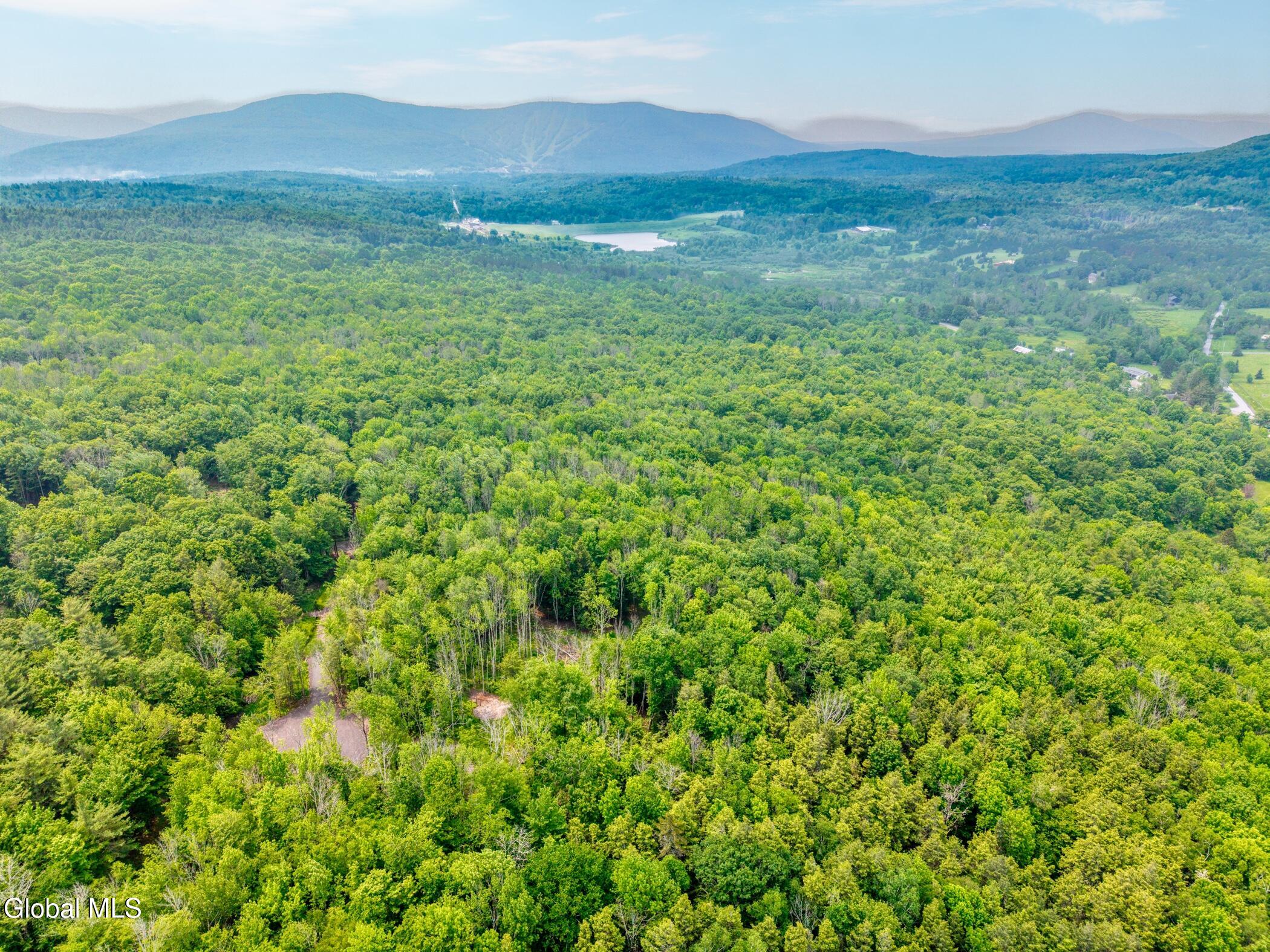 Tbd Boulder Brook Road, Unit LOT #14 Windham, NY 12496 - Photo 40 of 40 Image-68