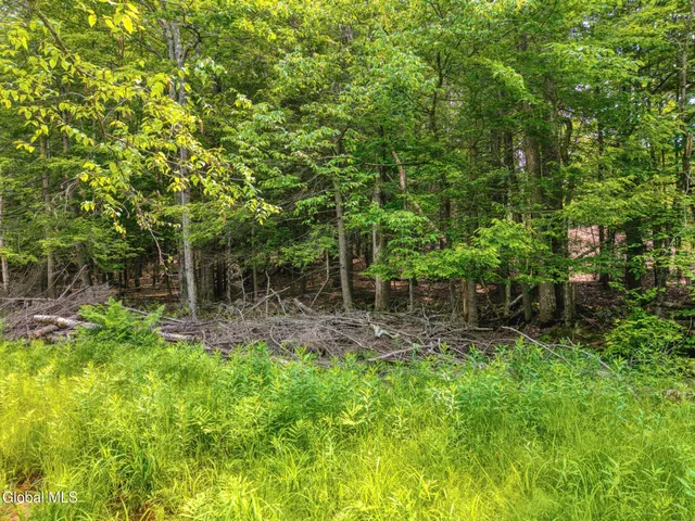 $155,000 | Tbd Boulder Brook Road, Unit LOT #14, Windham, NY 12496