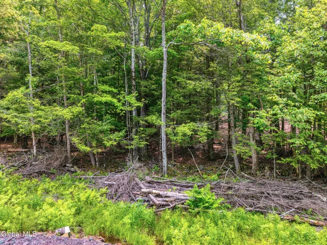 $155,000 | Tbd Boulder Brook Road, Unit LOT #14, Windham, NY 12496