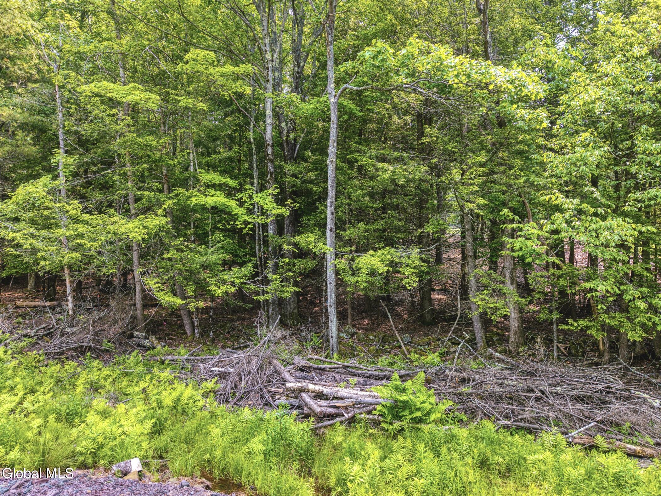 Tbd Boulder Brook Road, Unit LOT #14 Windham, NY 12496 - Photo 5 of 40 Image-40