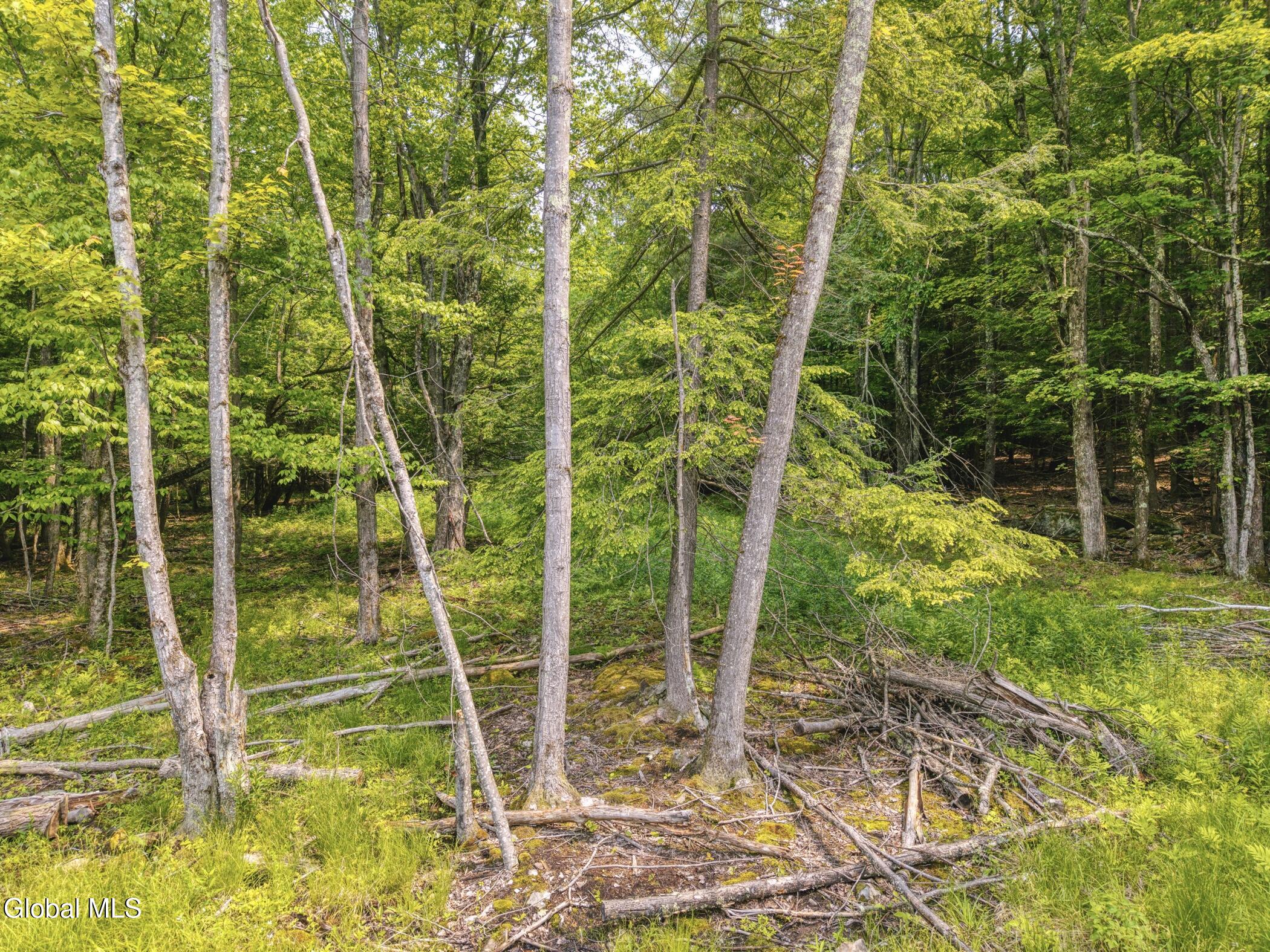 Tbd Boulder Brook Road, Unit LOT #14 Windham, NY 12496 - Photo 6 of 40 Image-54