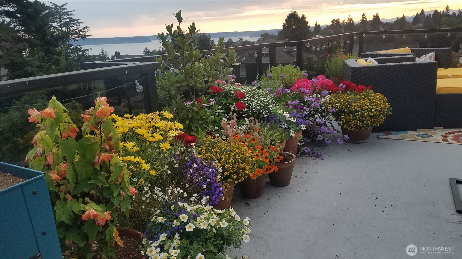4132 44th Avenue Southwest Seattle, WA 98116 - Photo 36 of 39