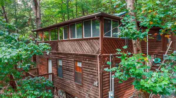 a view of a house with a yard plants and large tree