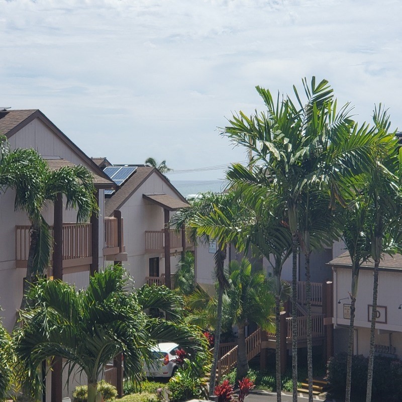 3411 Wilcox Road, Unit FV75 Lihue, HI 96766 - Photo 3 of 7 Gallery Image 3