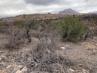 127-129 Circulo Botas, Unit 70 Rio Rico, AZ 85648 - Photo 3 of 5