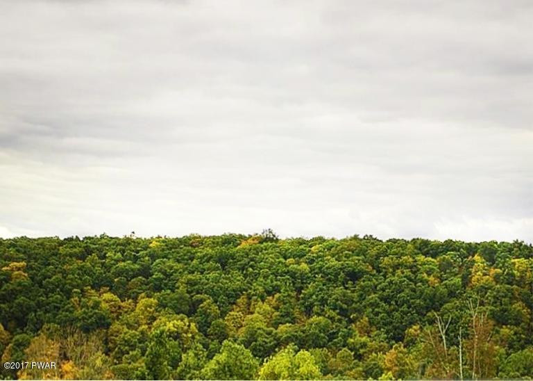 Dryden Road Walton, NY 13856 - Photo 29 of 33