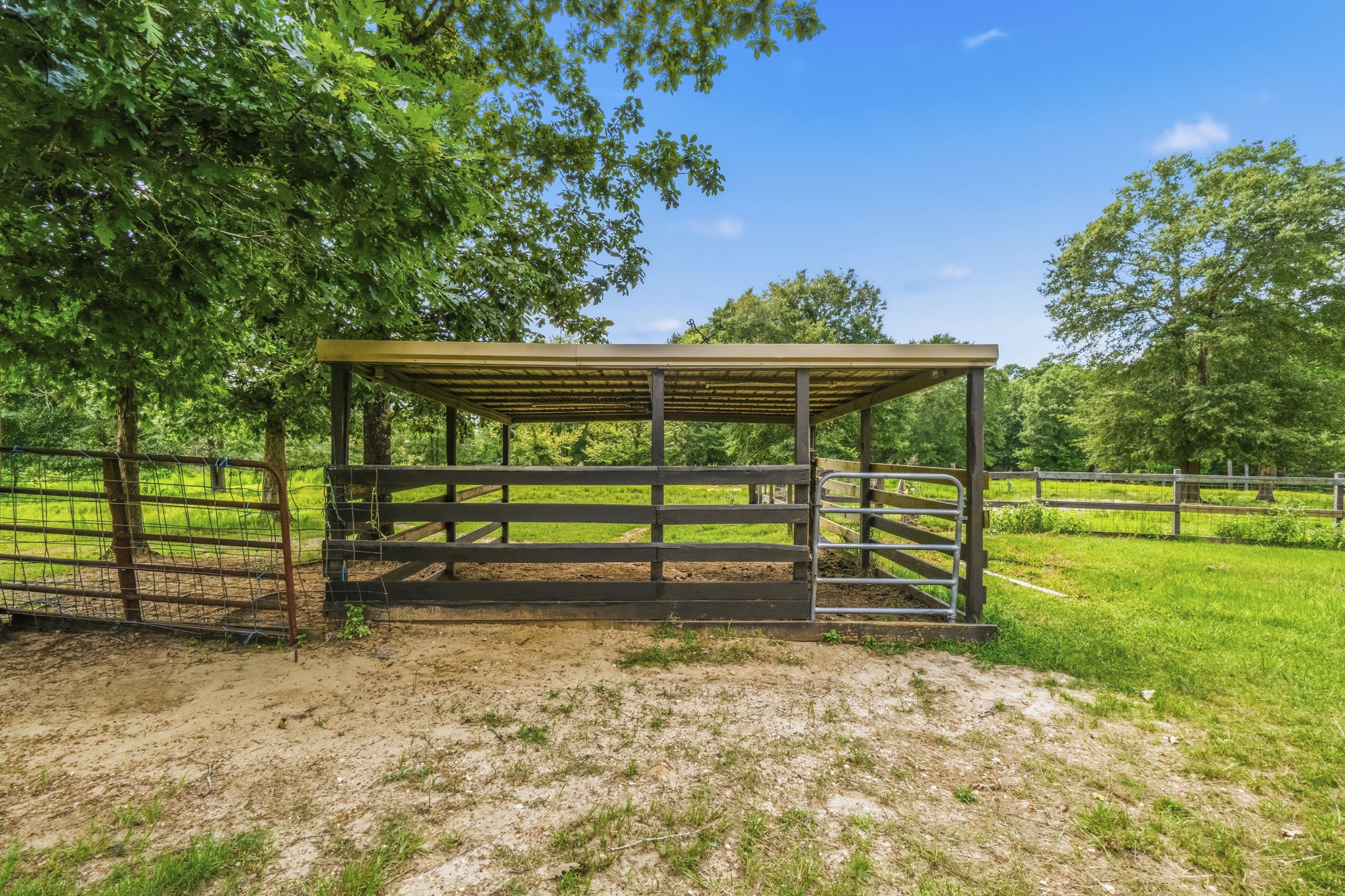 1239 Tony Peebles Road Livingston, TX 77351 - Photo 48 of 50 Gallery Image 48