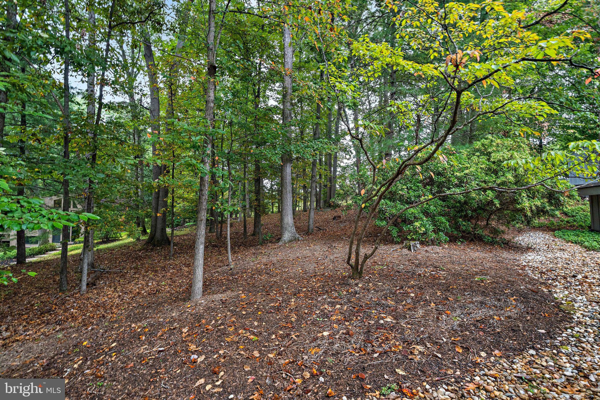 9706 Beach Mill Road Great Falls, VA 22066 - Photo 37 of 41