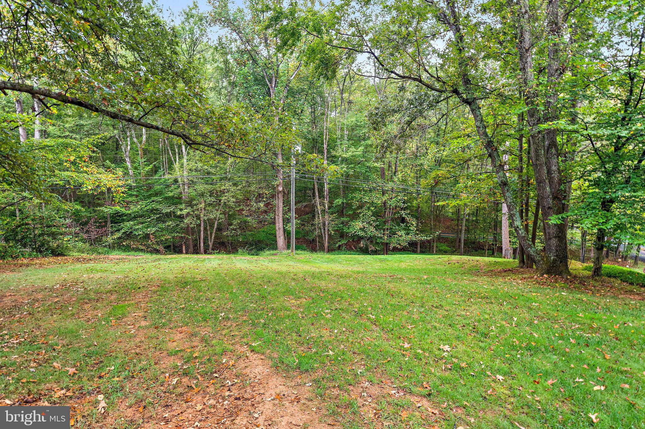 9706 Beach Mill Road Great Falls, VA 22066 - Photo 38 of 41