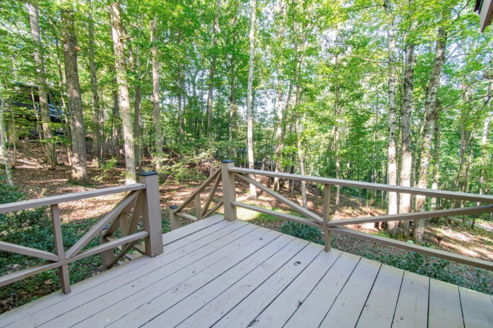 5 Tanglewood Trail Blue Ridge, GA 30513 - Photo 19 of 24