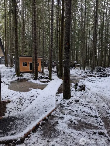 a view of a park with large trees