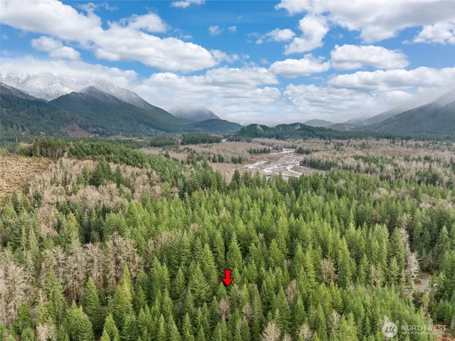 $299,950 | 56115 Kernahan Road East, Ashford, WA 98304