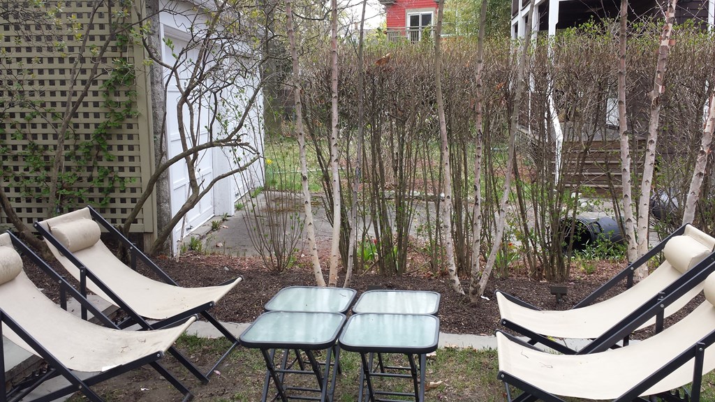 62 Granville Road, Unit 1 Cambridge, MA 02138 - Photo 14 of 18
