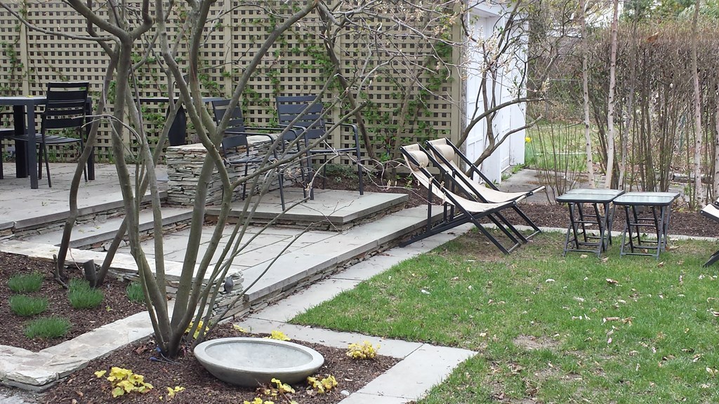 62 Granville Road, Unit 1 Cambridge, MA 02138 - Photo 15 of 18