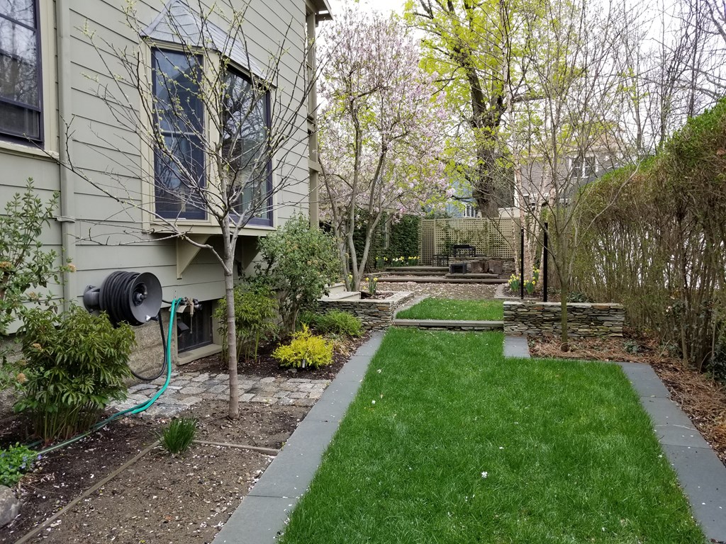 62 Granville Road, Unit 1 Cambridge, MA 02138 - Photo 16 of 18