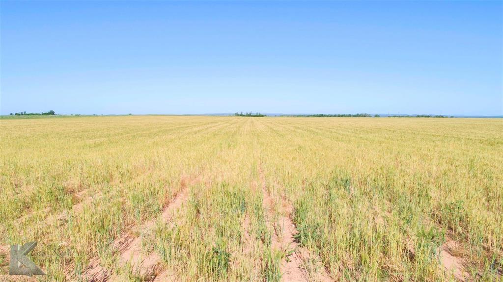 9533 Fm 617 Rochester, TX 79544 - Photo 17 of 25