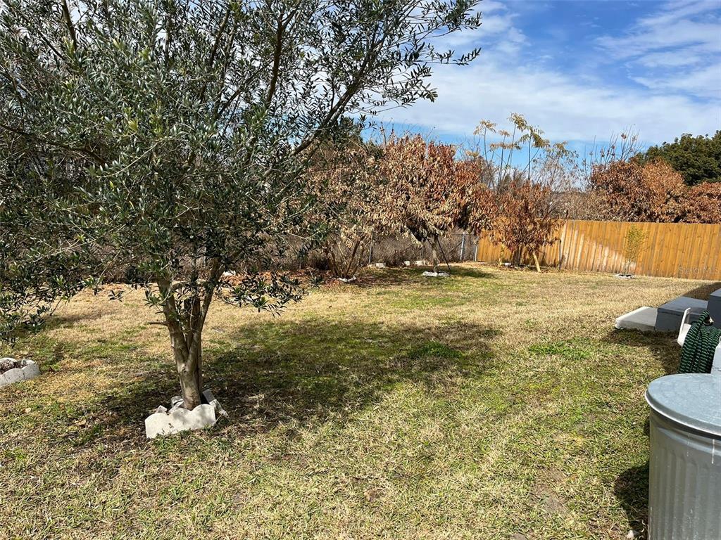 3549 Manor Loop Lakeland, FL 33810 - Photo 31 of 31