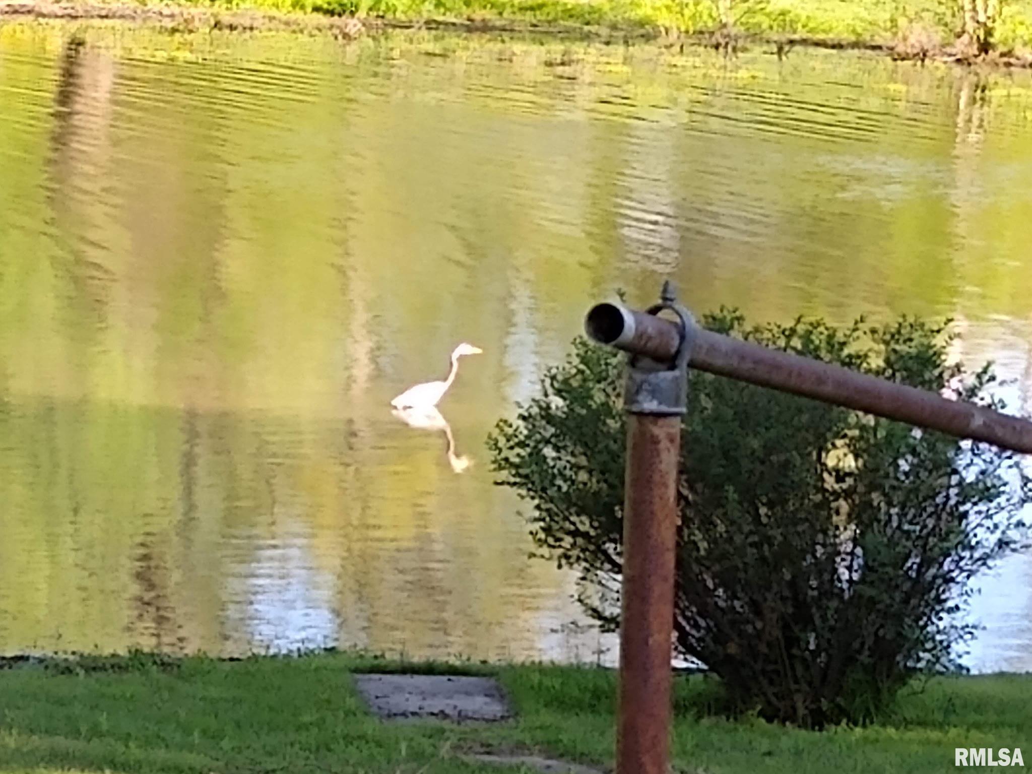 1278 Nicklaus Lane Marion, IL 62959 - Photo 30 of 49