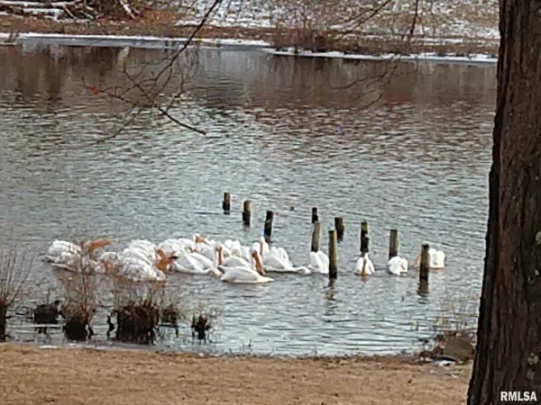 $345,000 | 1278 Nicklaus Lane, Marion, IL 62959