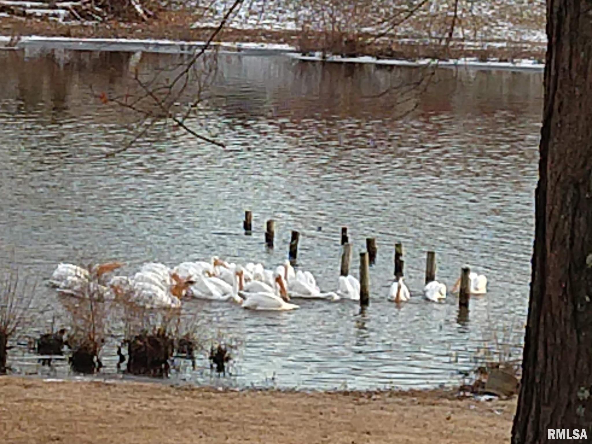 1278 Nicklaus Lane Marion, IL 62959 - Photo 31 of 49