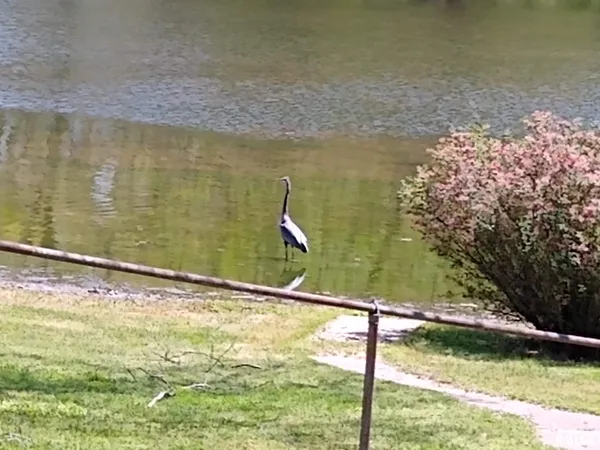 $345,000 | 1278 Nicklaus Lane, Marion, IL 62959