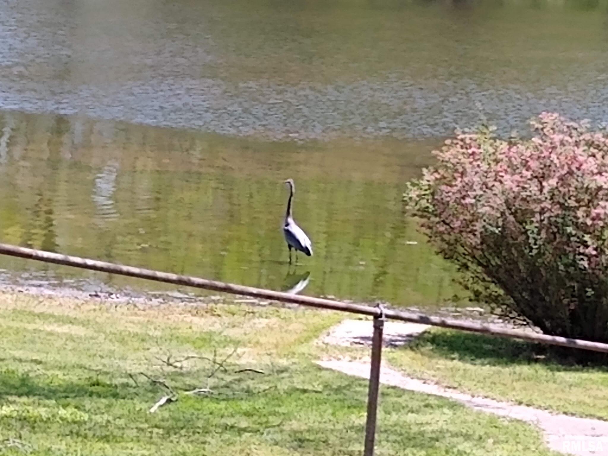 1278 Nicklaus Lane Marion, IL 62959 - Photo 32 of 49