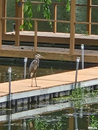 $345,000 | 1278 Nicklaus Lane, Marion, IL 62959