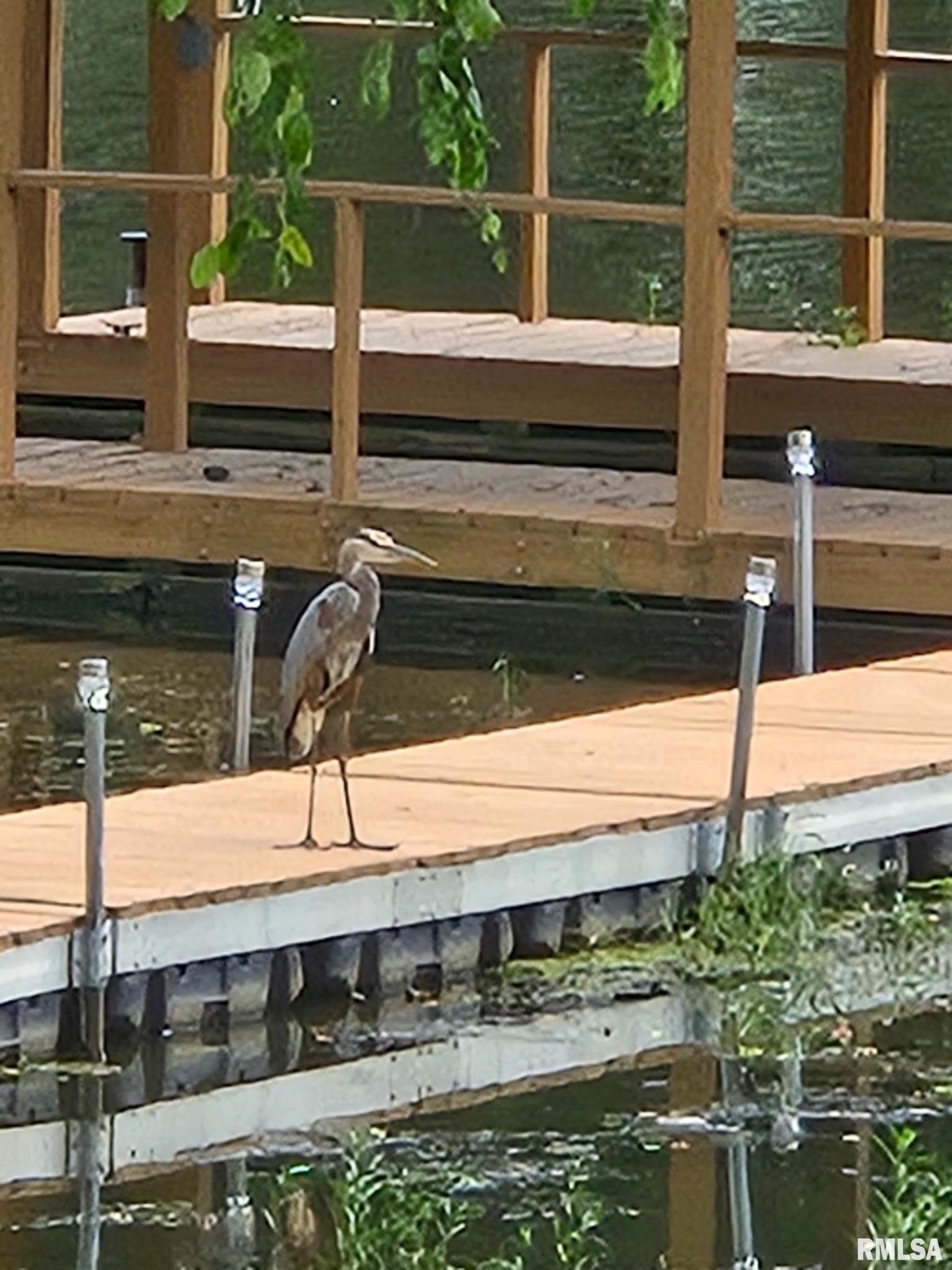 1278 Nicklaus Lane Marion, IL 62959 - Photo 33 of 49