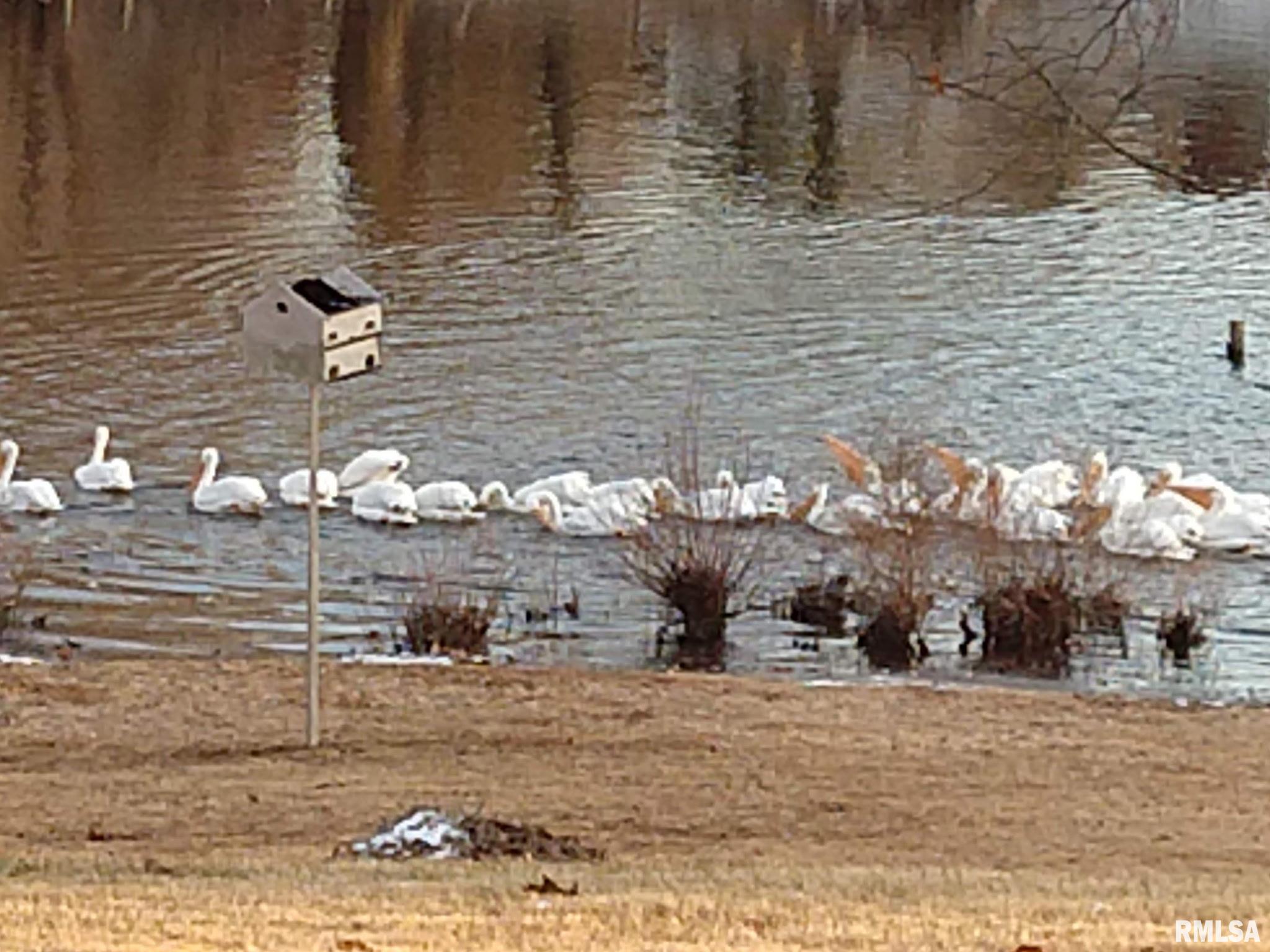 1278 Nicklaus Lane Marion, IL 62959 - Photo 34 of 49