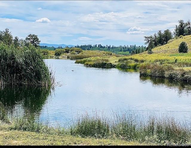 1593 Yellowstone Road Hartsel, CO 80449 - Photo 4 of 16