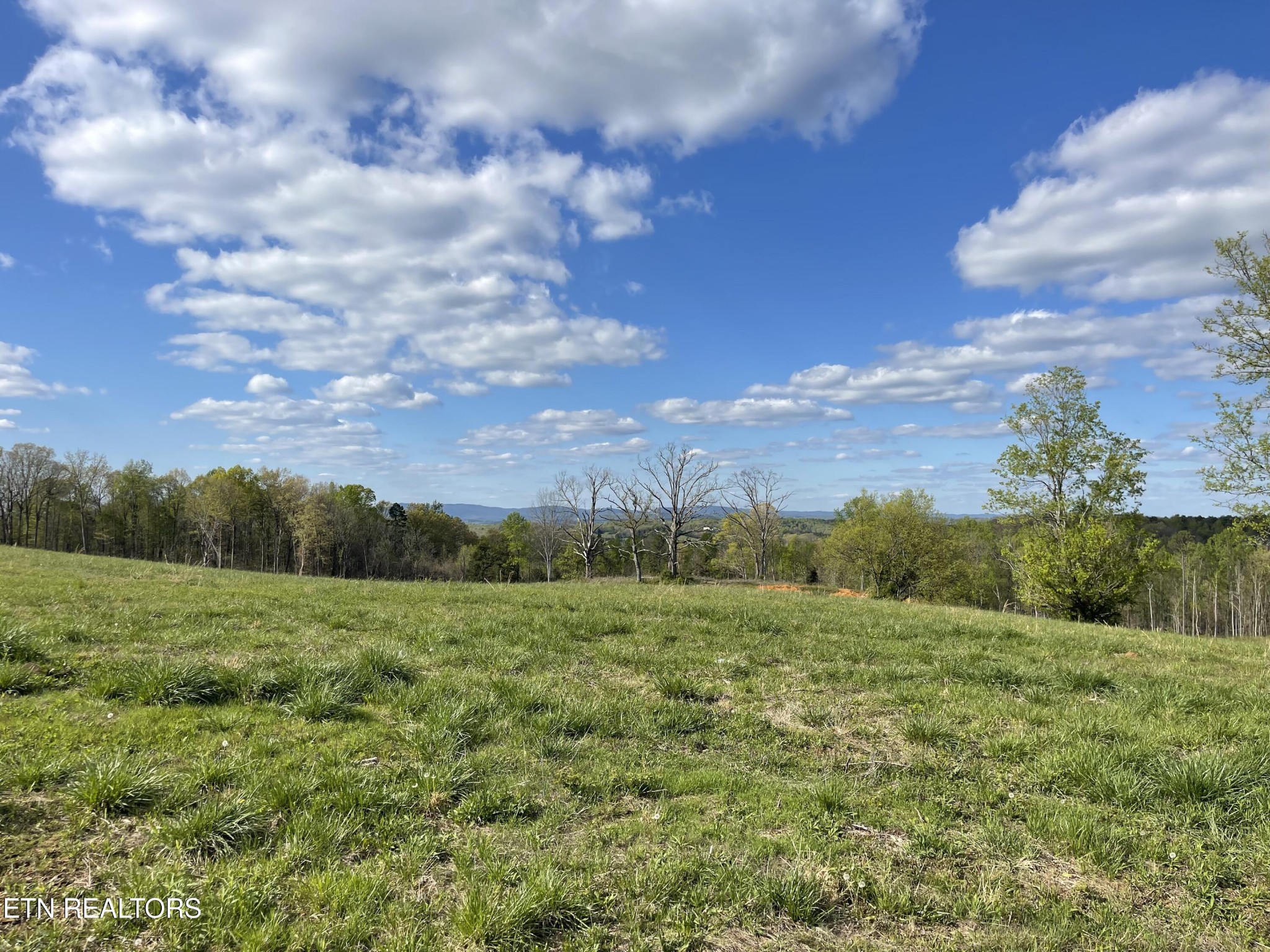 6 Laura Boling Loop Road Strawberry Plains, TN 37871 - Photo 4 of 5 Gallery Image 4