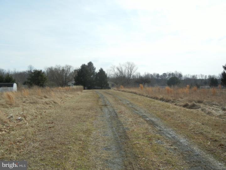 3318 Carpenter Bridge Road Felton, DE 19943 - Photo 2 of 23 Driveway