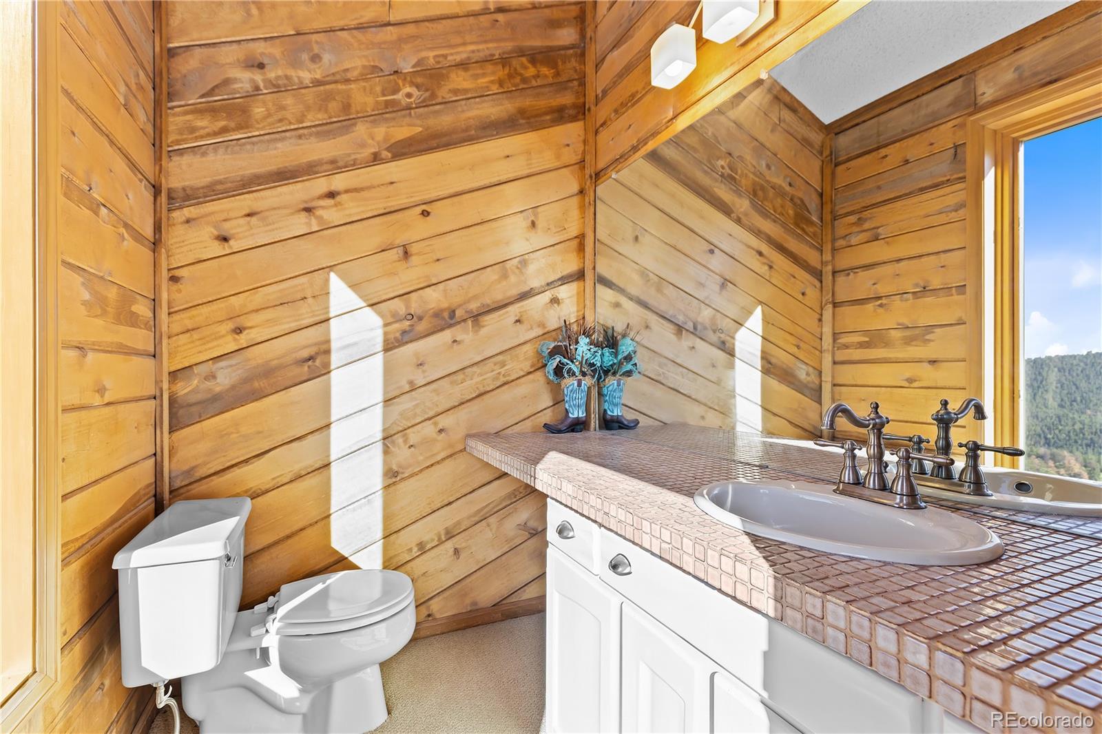 13035 Baird Road Conifer, CO 80433 - Photo 29 of 50 Gallery Image 29