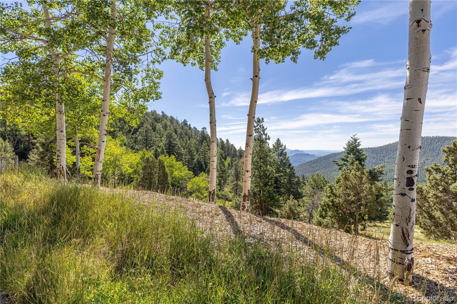 13035 Baird Road Conifer, CO 80433 - Photo 41 of 50 Gallery Image 41