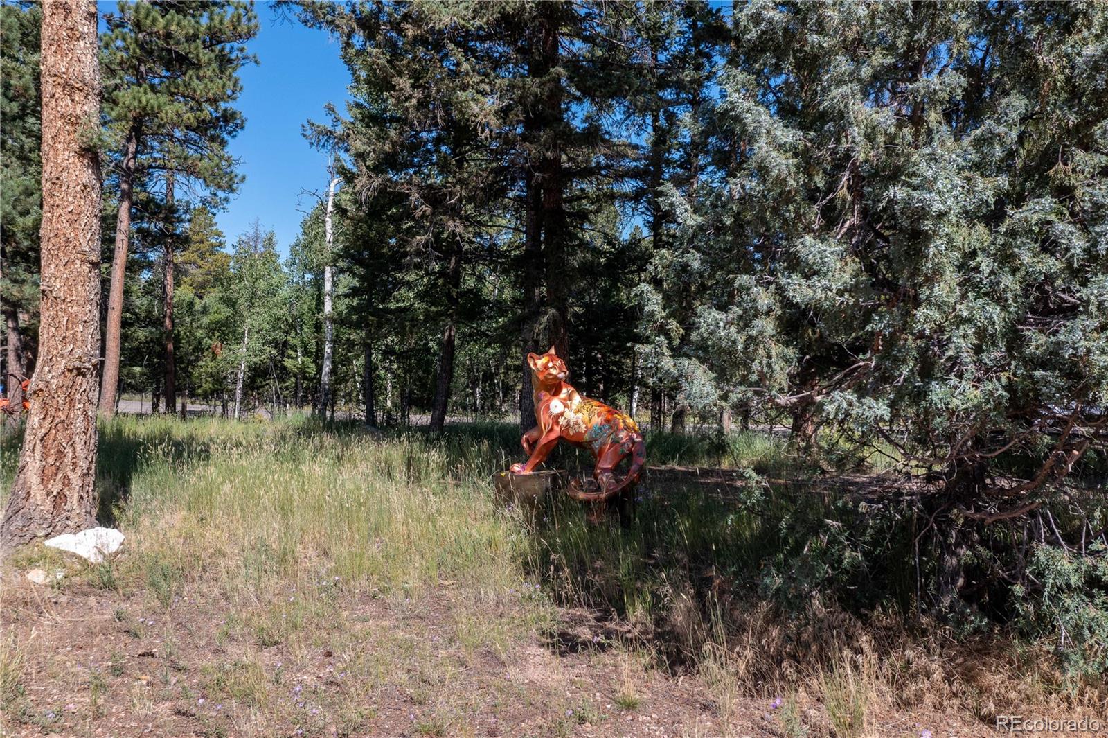 13035 Baird Road Conifer, CO 80433 - Photo 43 of 50 Gallery Image 43