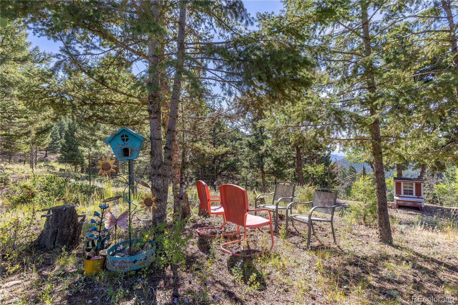 13035 Baird Road Conifer, CO 80433 - Photo 45 of 50 Gallery Image 45