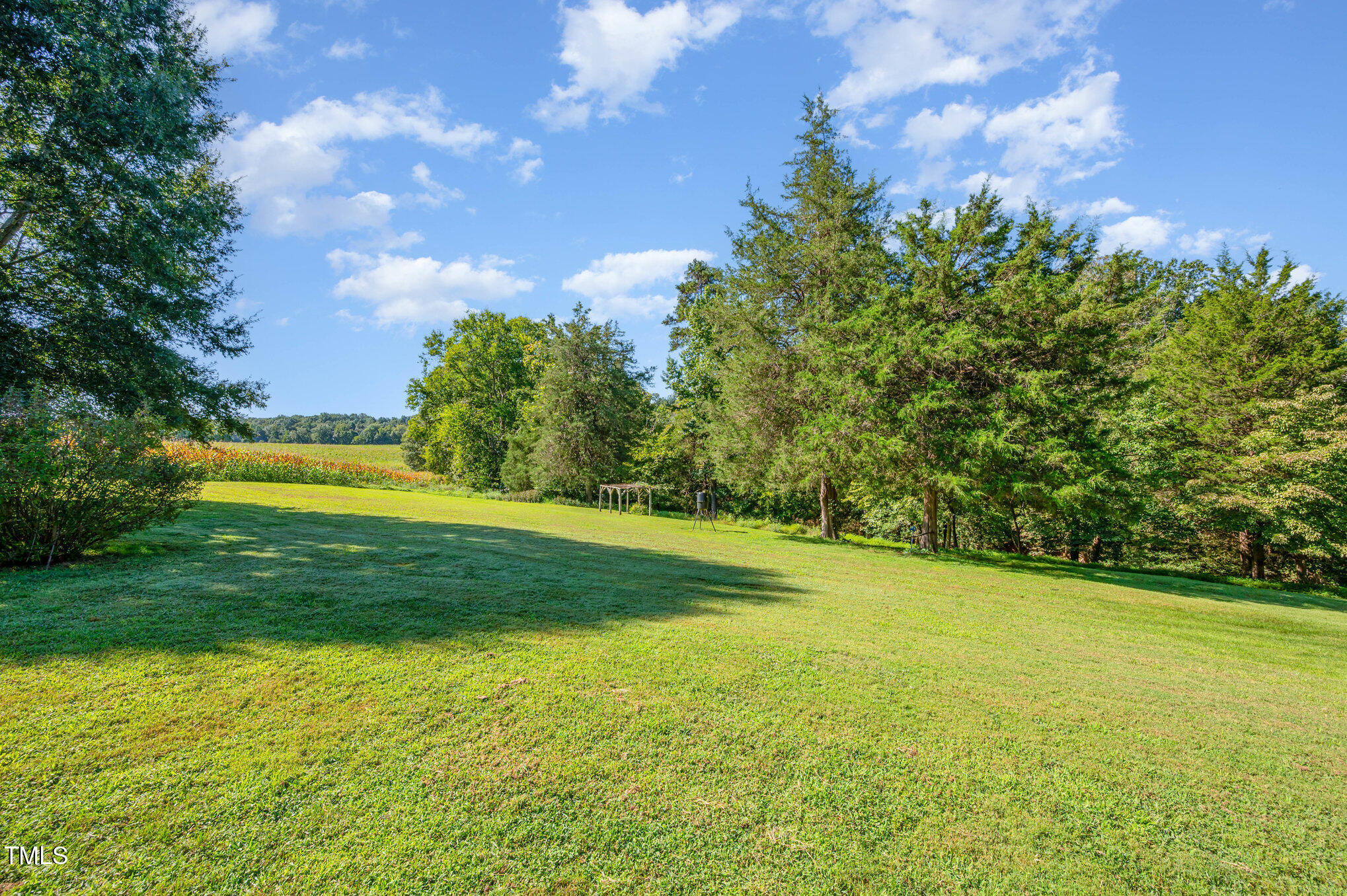 475 Jim Moore Road Timberlake, NC 27583 - Photo 25 of 26 a view of a yard with a house