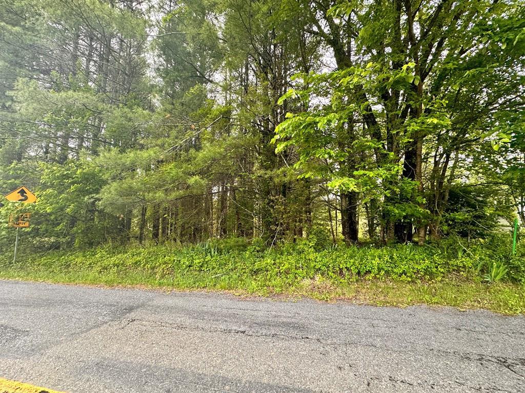 4306 Keno Road, Unit 6 Laurel Fork, VA 24352 - Photo 8 of 13 Gallery Image 8