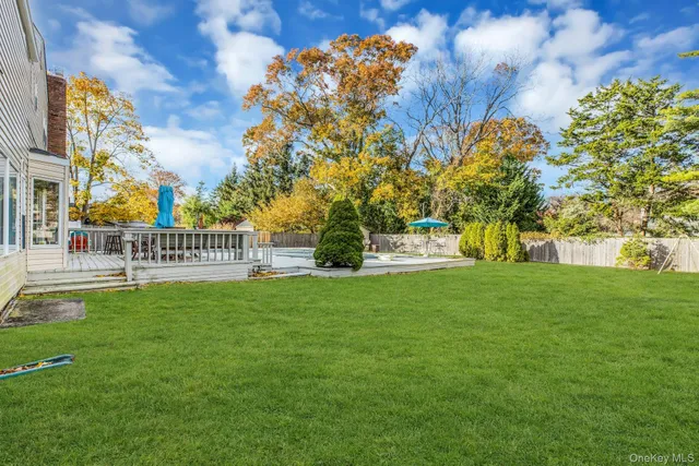 a view of a park with a bench