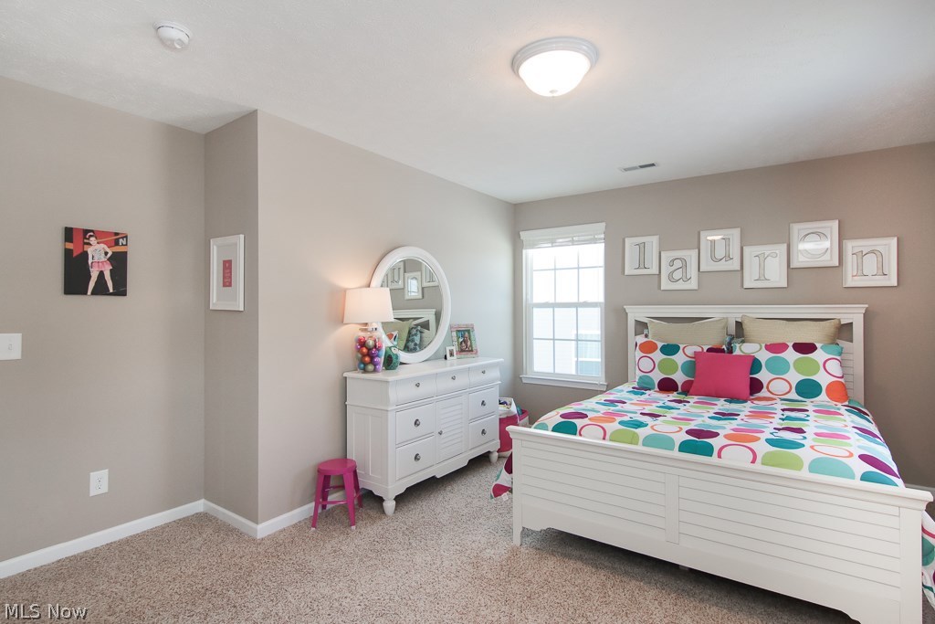8813 Harvest Ridge Way North Ridgeville, OH 44039 - Photo 27 of 35 Gallery Image 27